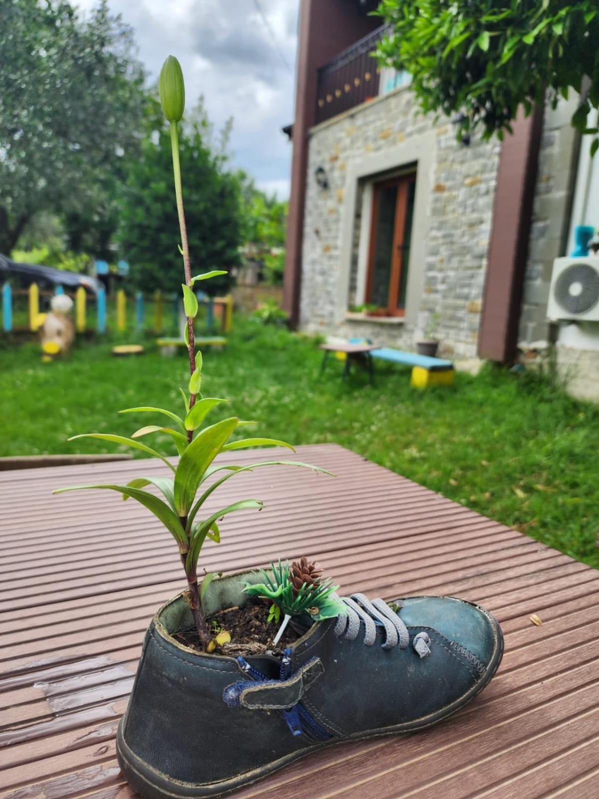 Villa Shuaipaj Gjirokastër المظهر الخارجي الصورة